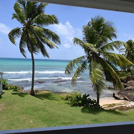Studio Vue Sur Mer Fort D'Epee Le Gosier  Exteriör bild